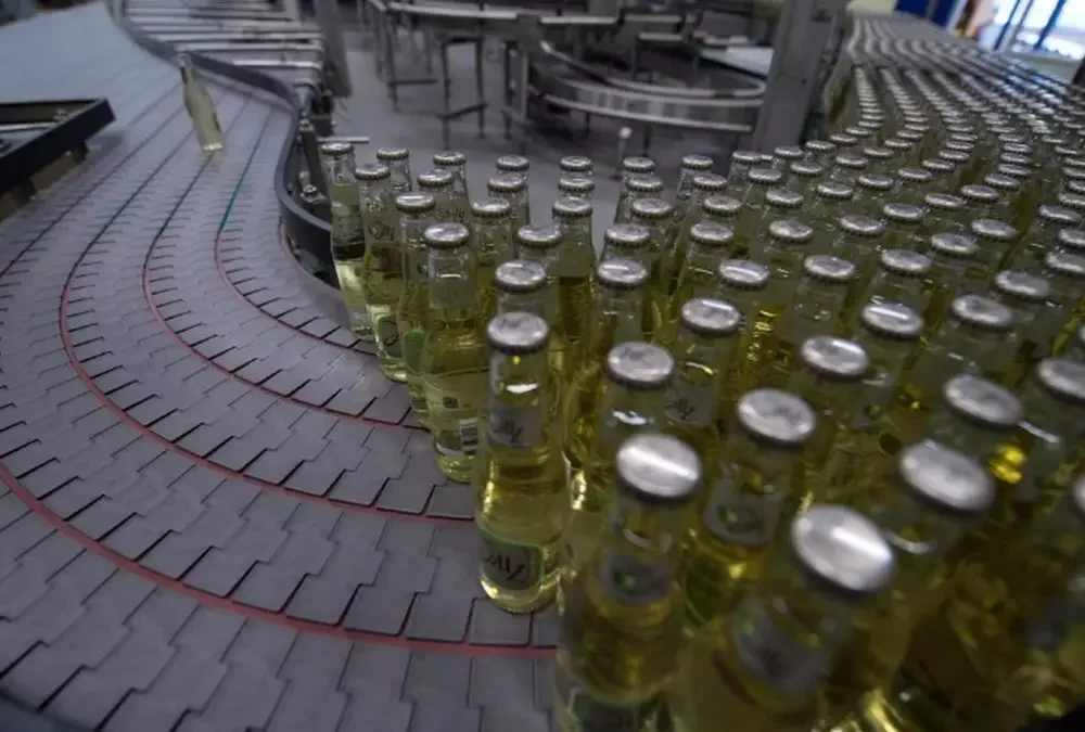 A Procurement Buying Guide: What to Actually Look for in a Conveyor Component Supplier