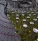 A Procurement Buying Guide: What to Actually Look for in a Conveyor Component Supplier